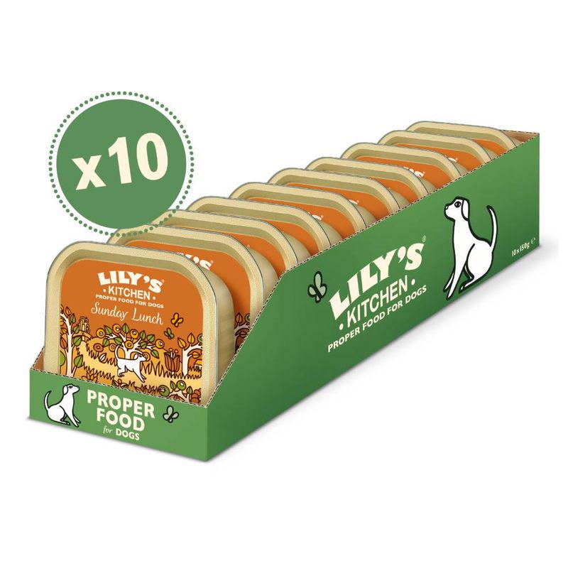 lilys sunday dog food