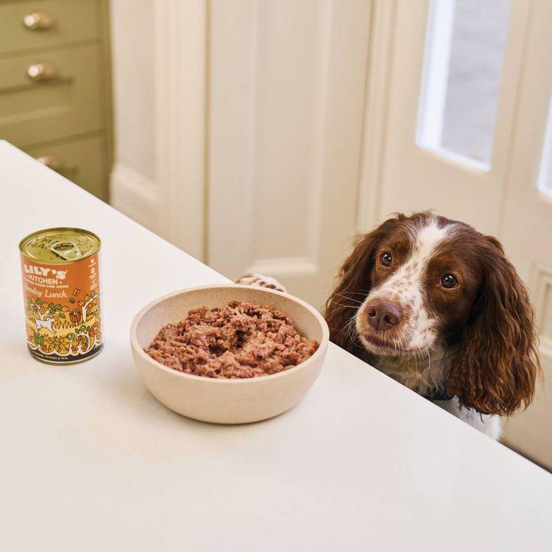 sunday dog food pack