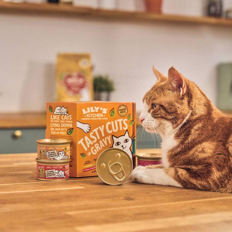 Premium cat meals