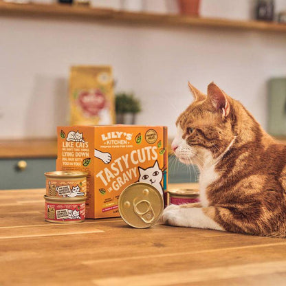 Premium cat meals