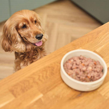 hearty stew dog food