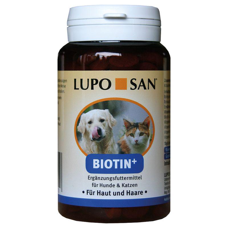 Biotin skin support