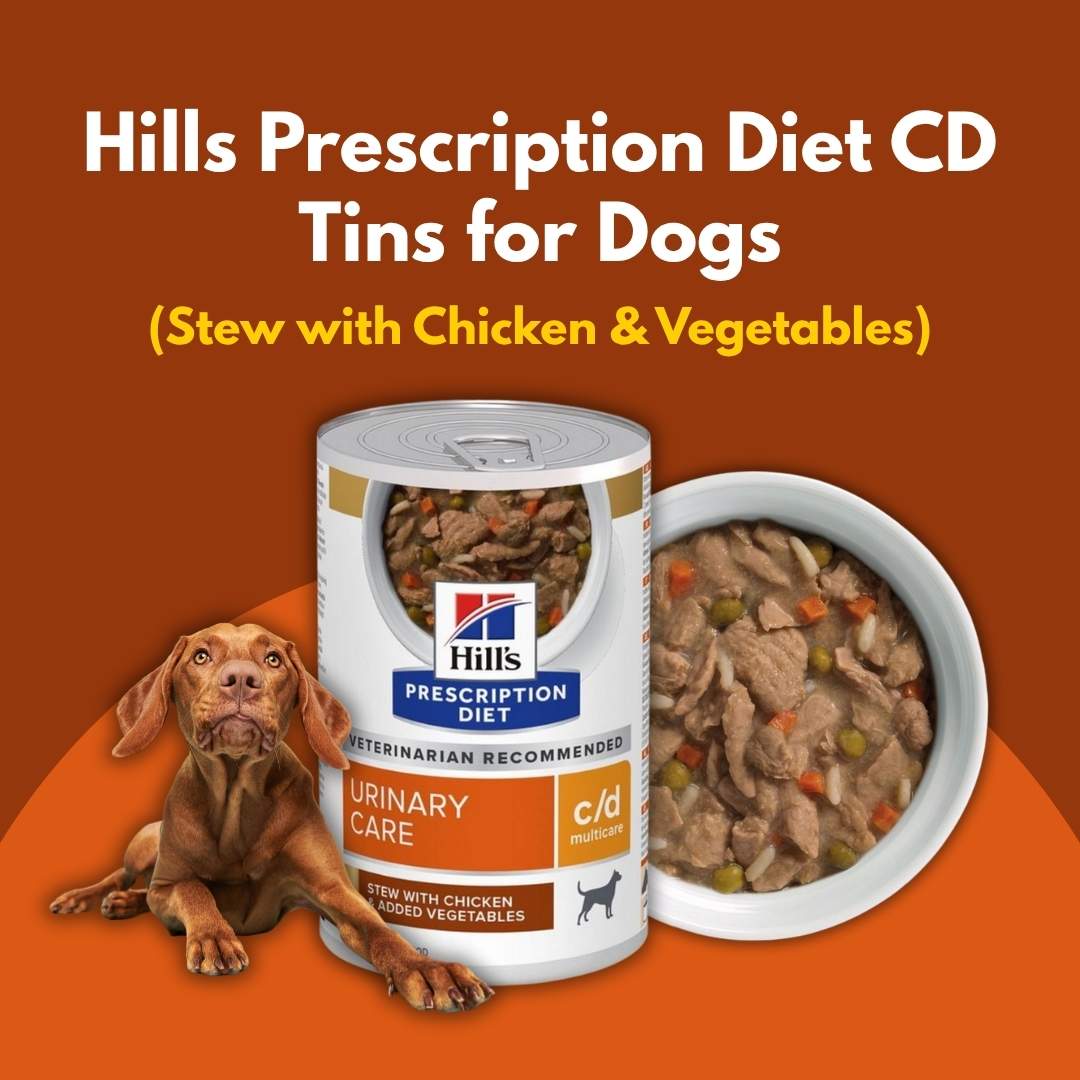 Hills Prescription Diet CD Tins for Dogs on an orange background with a dog and bowl of stew.