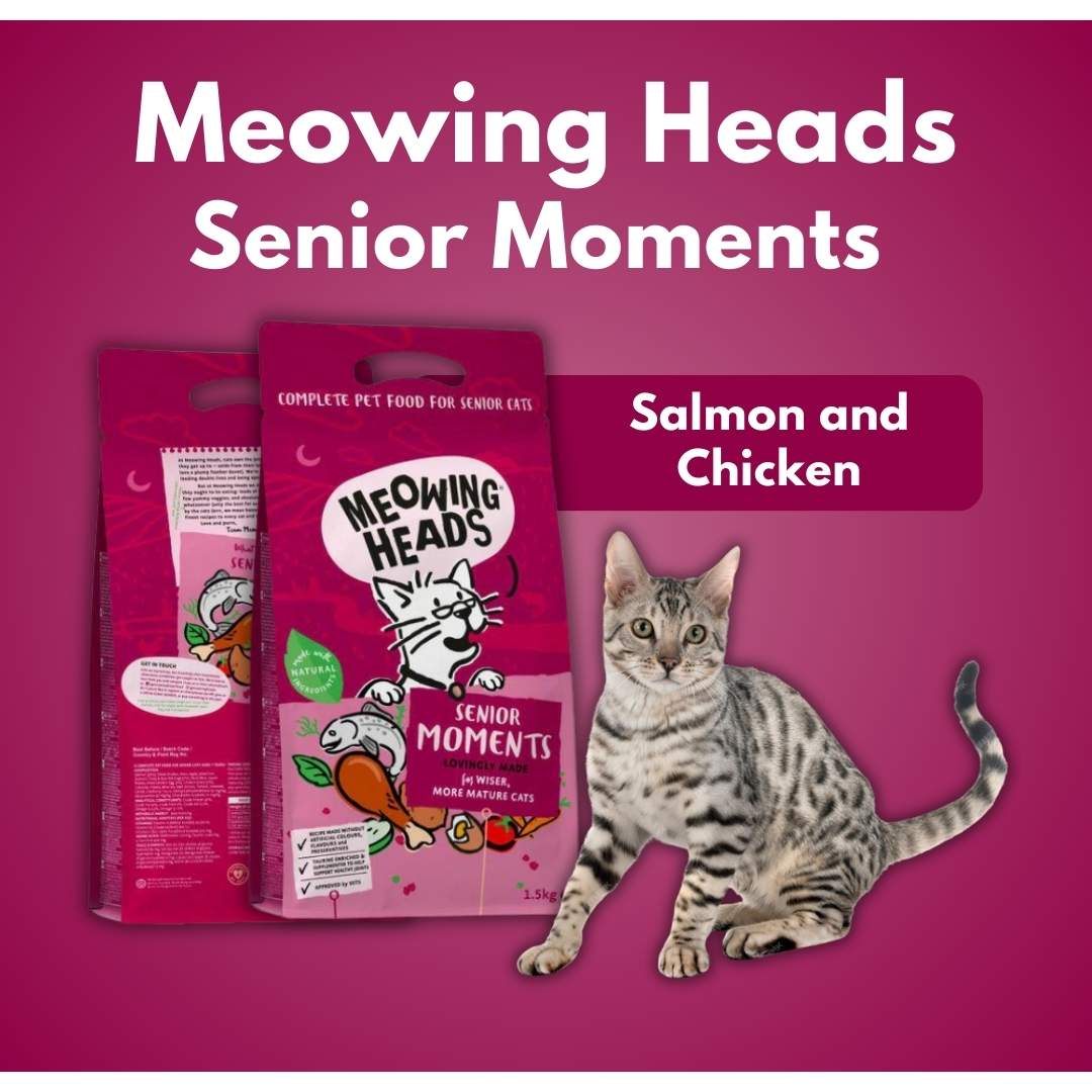 Meowing Heads senior food