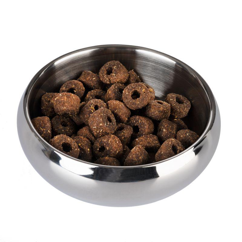 Elegant dog food water bowl