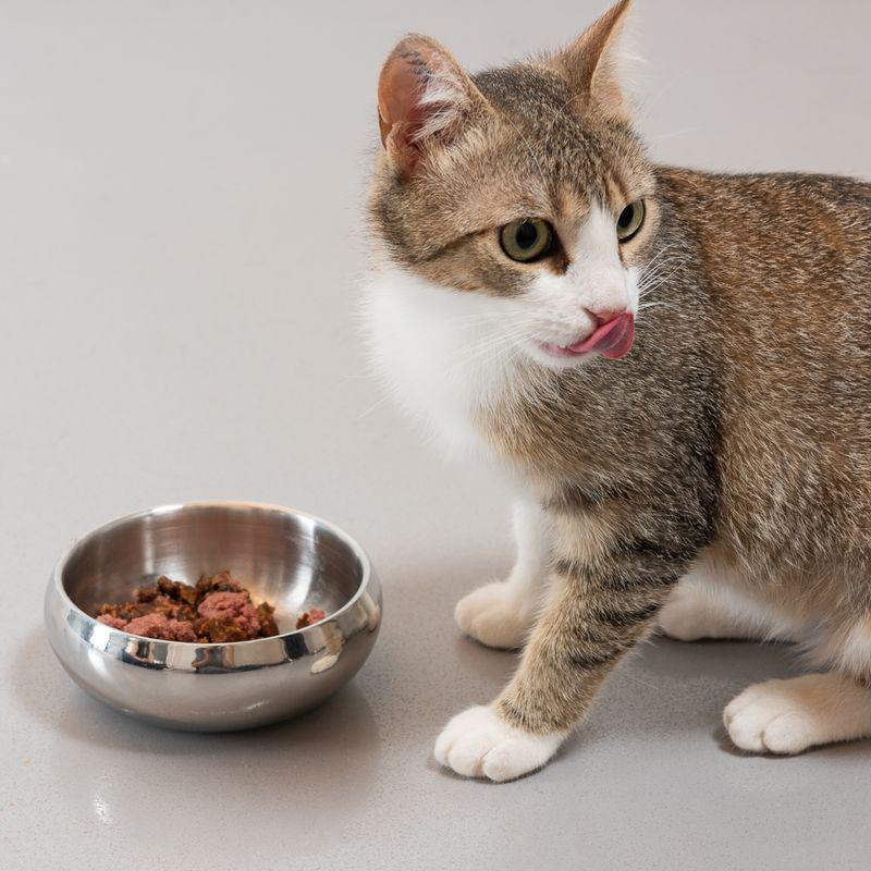 Durable feeding bowl for pets