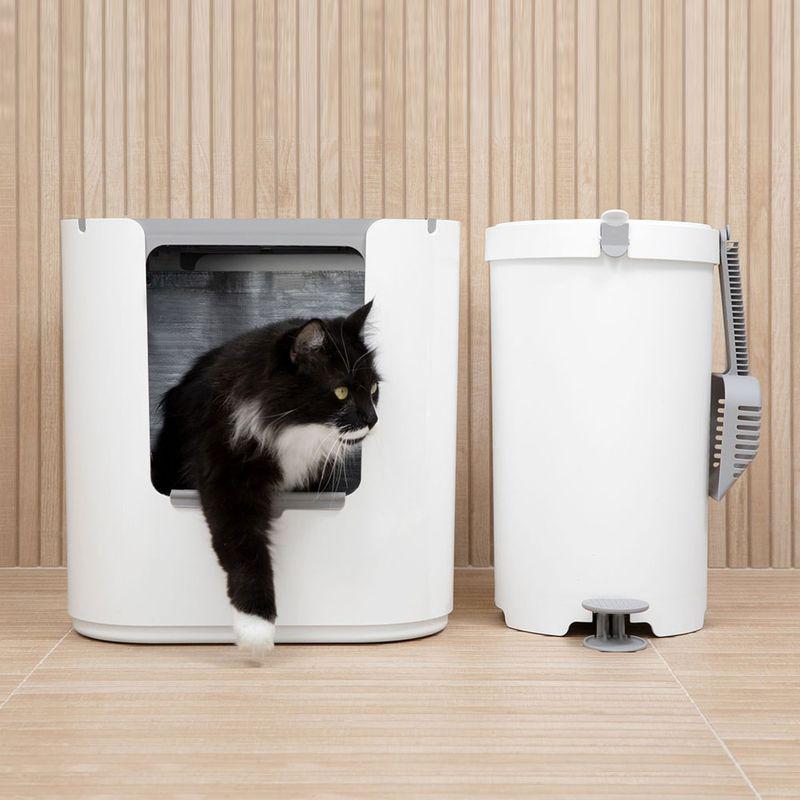 Spacious litter box for large cats