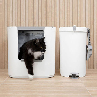 Spacious litter box for large cats