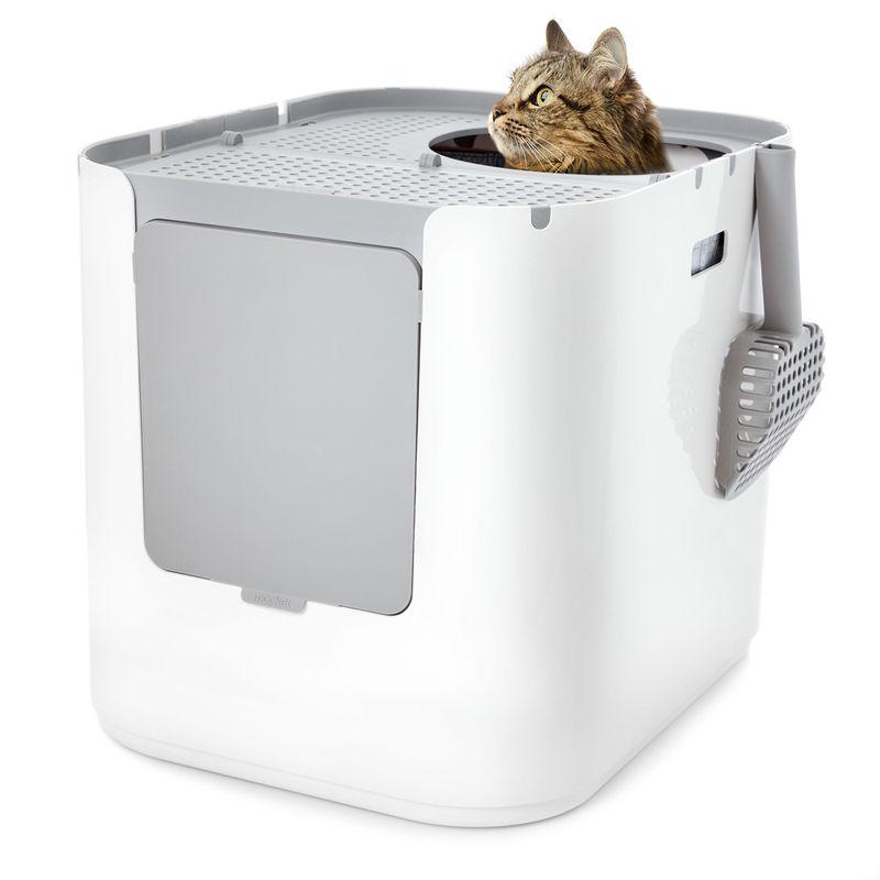 Top and front-entry litter box