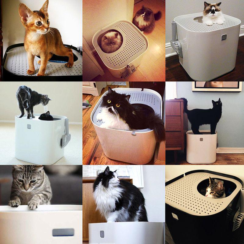 Modern cat litter box
