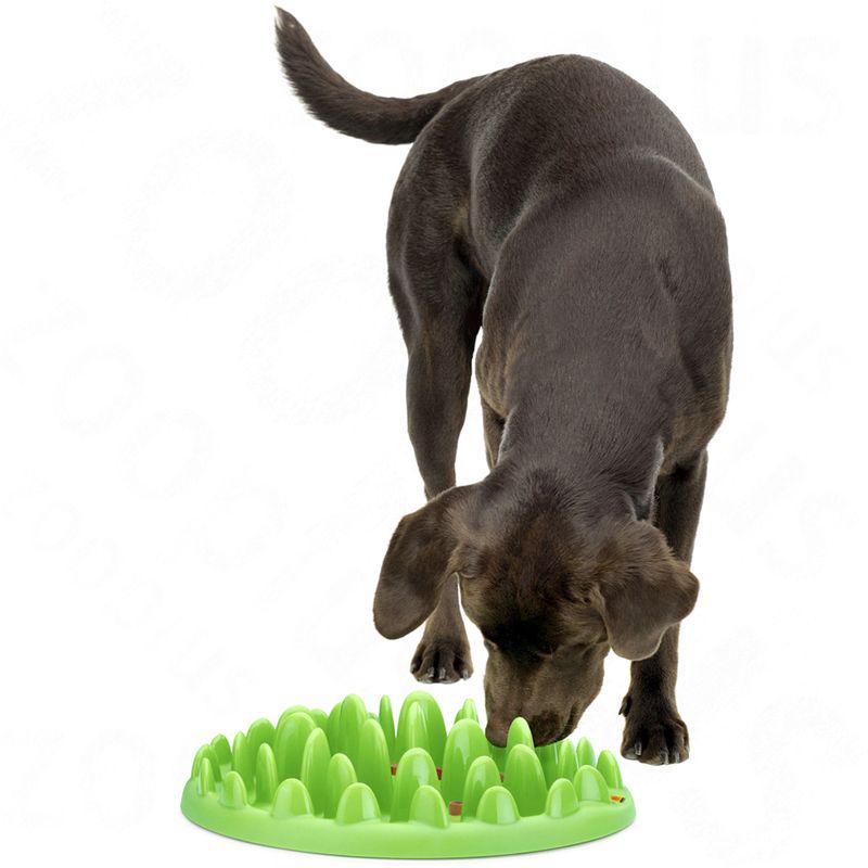Slow-eating dog bowl