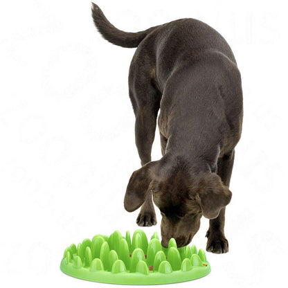 Slow-eating dog bowl