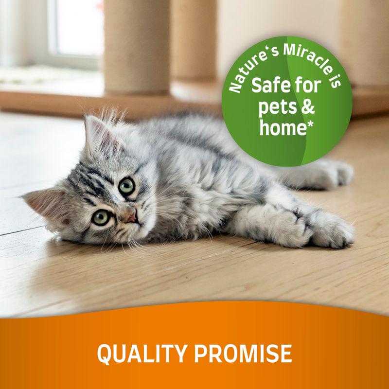 Set-in stain remover for cats