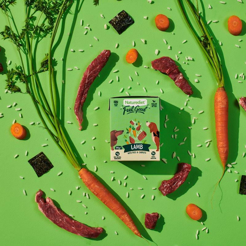 Feel Good adult lamb meal