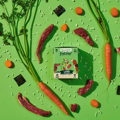 Feel Good adult lamb meal