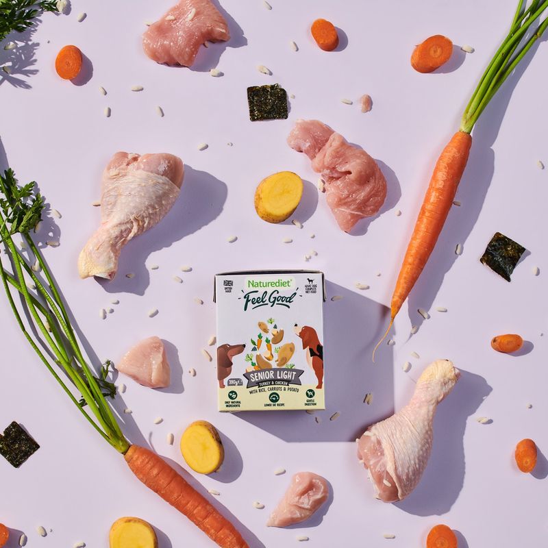 healthy senior dog meal