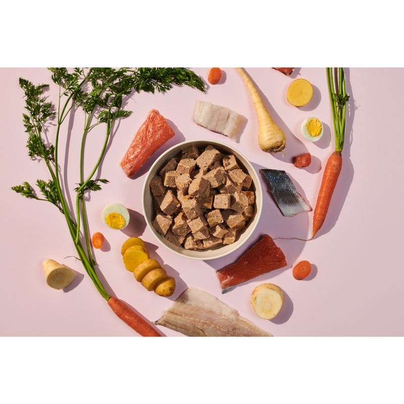 salmon recipe dog food