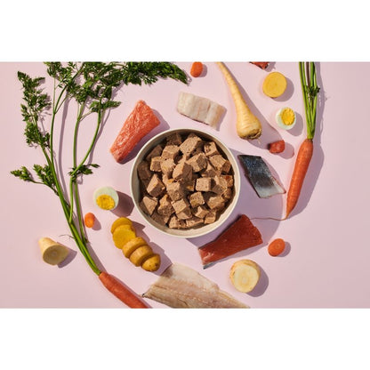 salmon recipe dog food