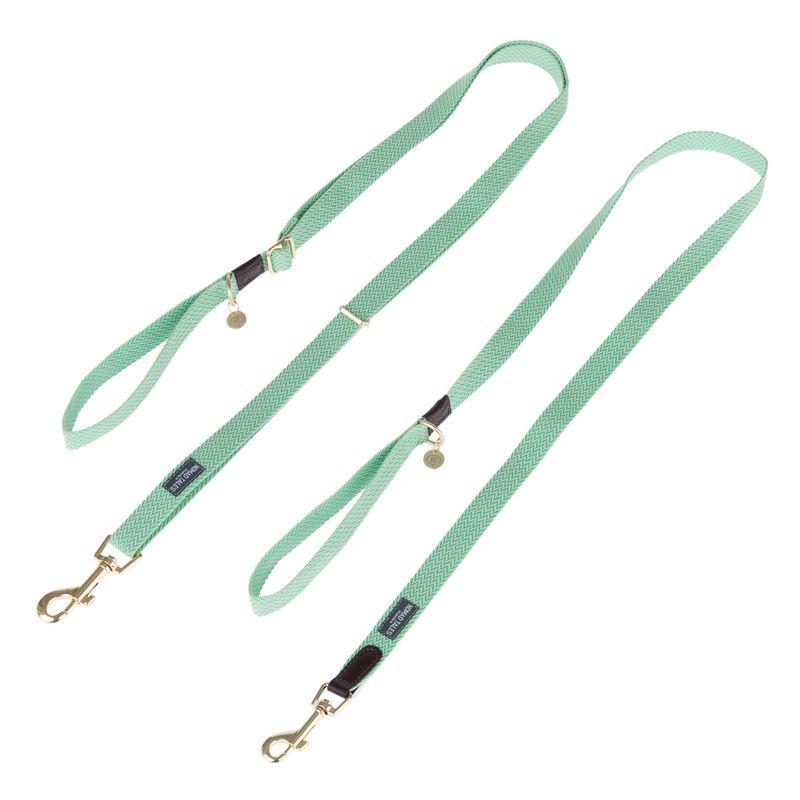 Nomad Tales Bloom collar for dogs