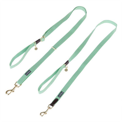 Nomad Tales Bloom collar for dogs