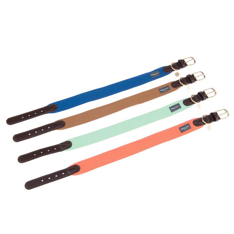 Elegant mint dog collar design