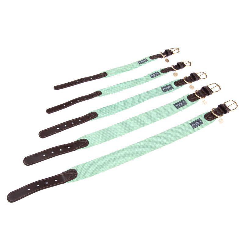 Stylish collar in pastel mint