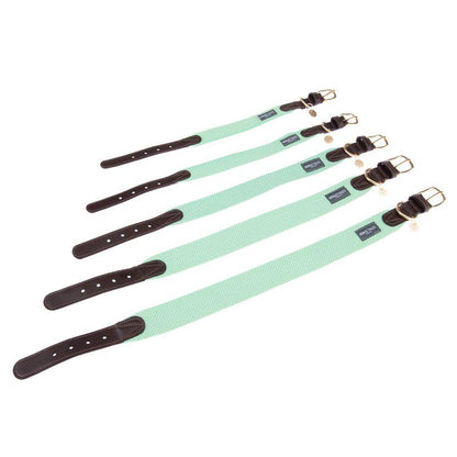 Stylish collar in pastel mint
