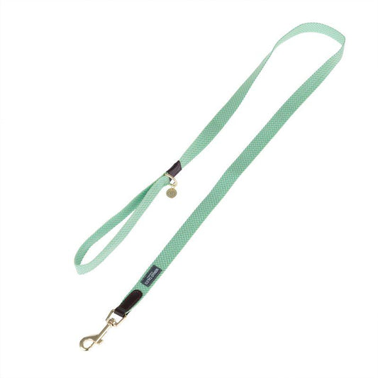 Mint dog leash