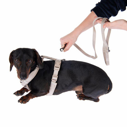 Snap hook leash