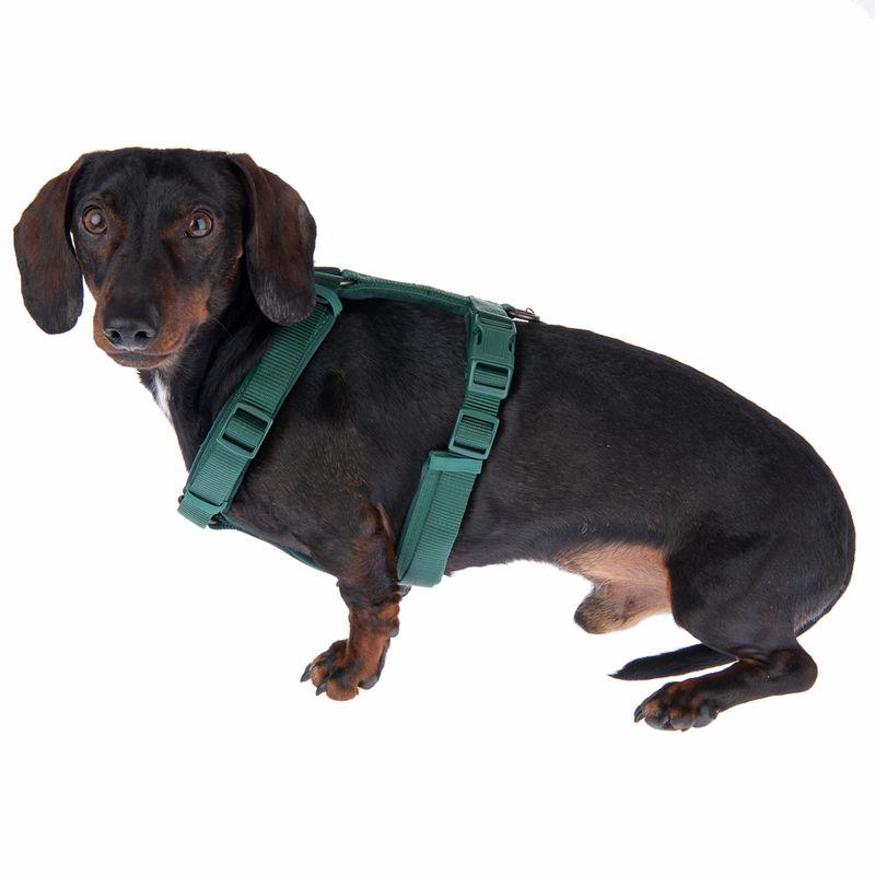 Comfortable dog harness