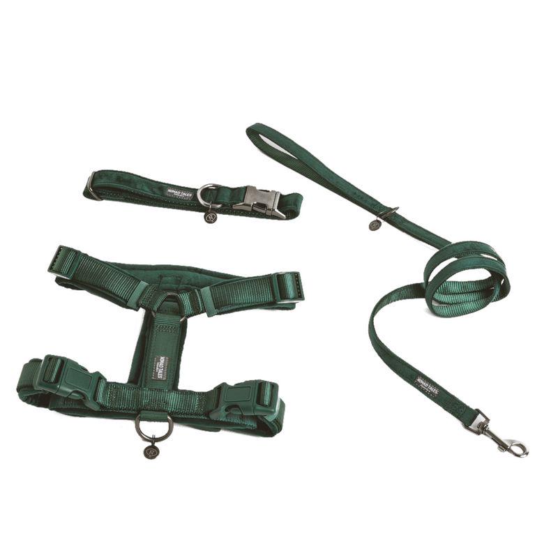 Velvety shiny harness