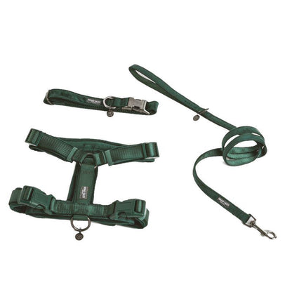 Velvety shiny harness