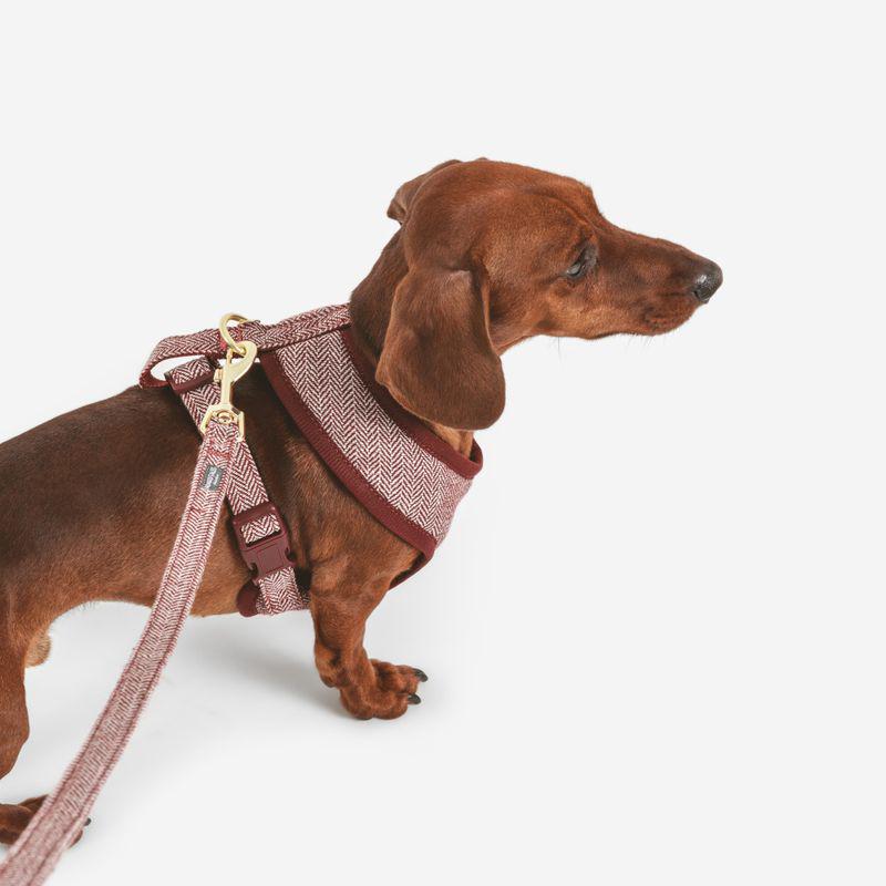 Elegant herringbone harness