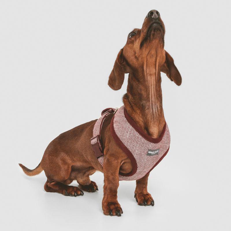 Durable polyester harness