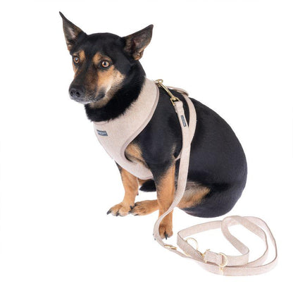Outdoor dog harness