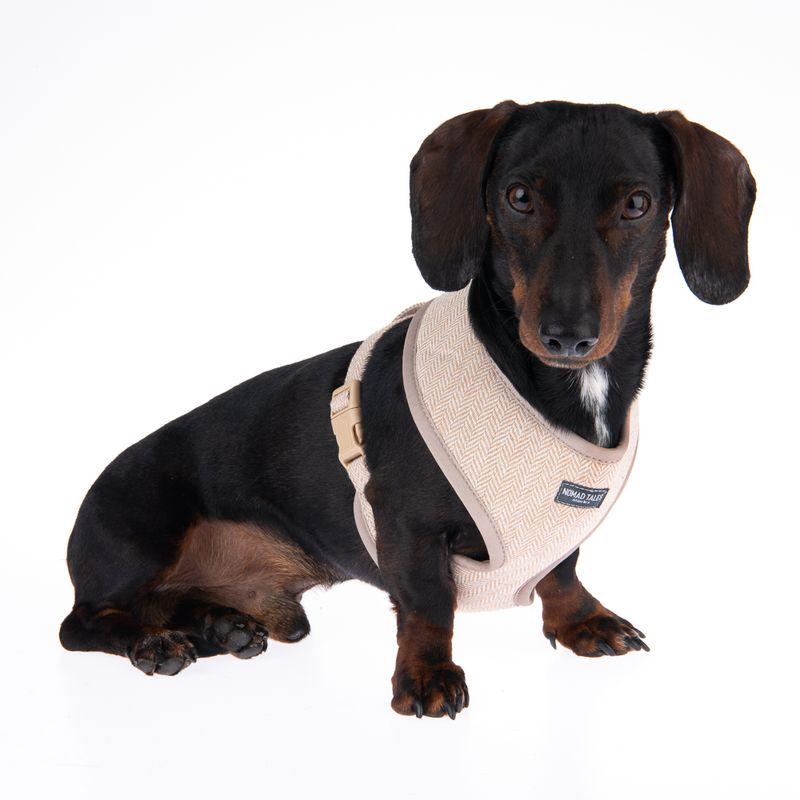 Adjustable dog harness