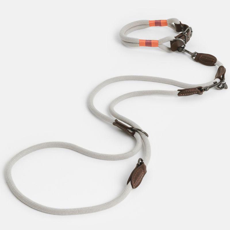 Durable collar for dogs