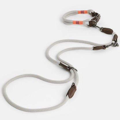 Durable collar for dogs