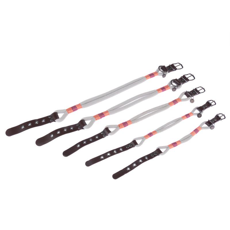 Spirit collection pet collar