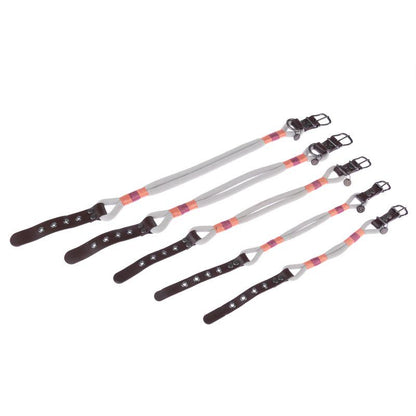 Spirit collection pet collar