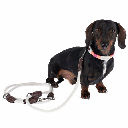 Comfortable adjustable dog collar