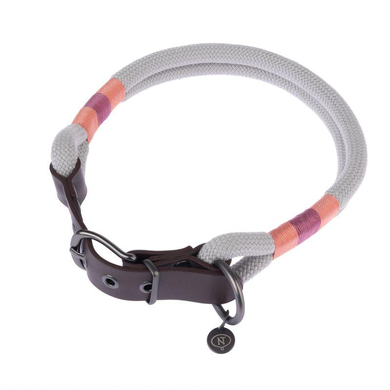 Stylish neutral dog collar
