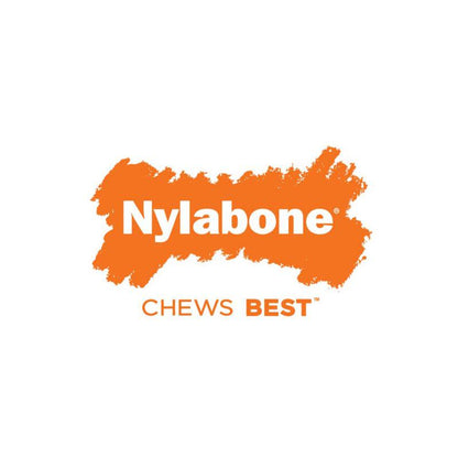 Nylabone for teething
