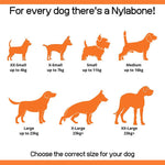 Load image into Gallery viewer, Nylabone Puppy Chill and Chew Toy
