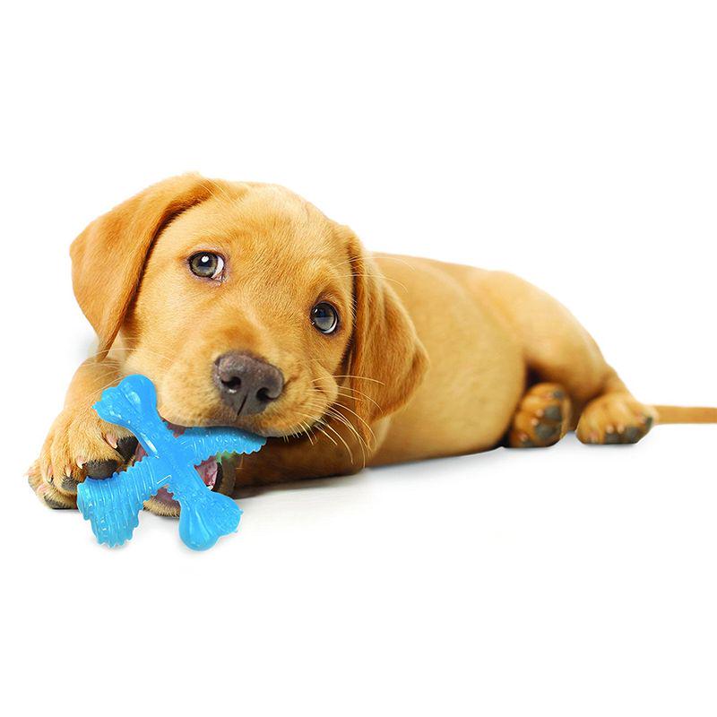 Teething puppy chew toy