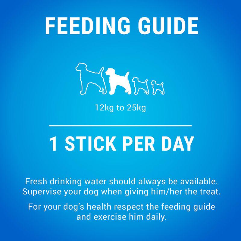 Dental care dog sticks