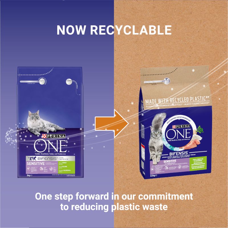 Gentle cat kibble turkey rice