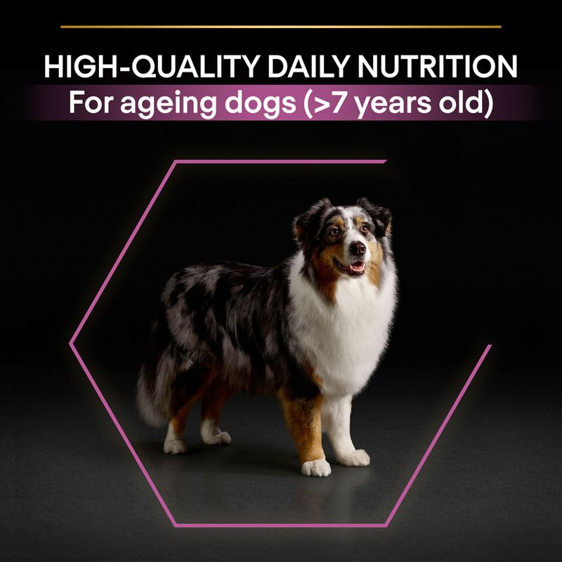 Purina 7+ large dog food