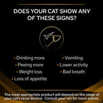 Load image into Gallery viewer, PURINA PRO PLAN Veterinary Diets Feline NF Early Care
