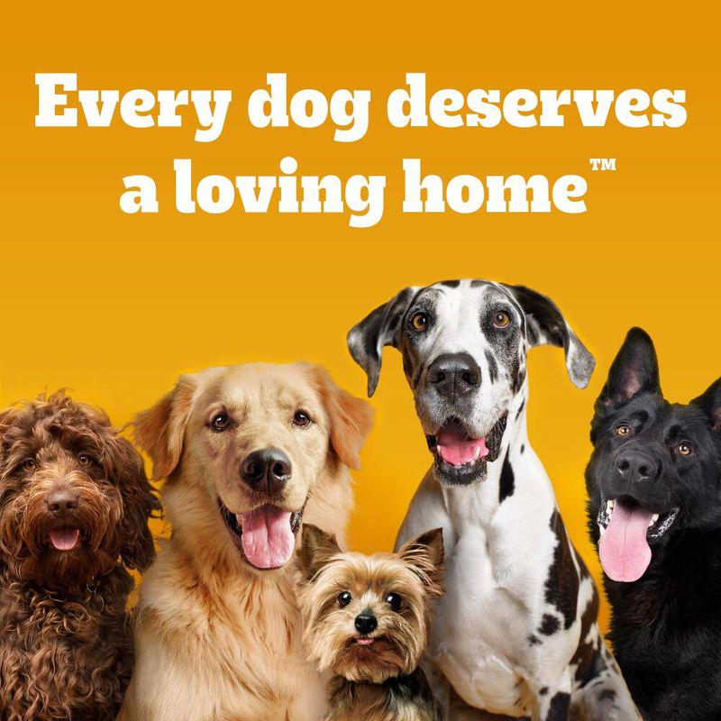 Pedigree Dentastix Fresh Dry Dog Food